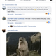 Imagen para el artículo titulado Una mujer perdió su trabajo después de que un vídeo en el que aparece gritando a un conductor se hiciera viral